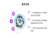 商务星球版八年级上册  1.3 多民族的大家庭  课件