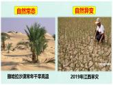 【活动课】商务星球版八年级上册  第二章 活动课 认识我国的自然灾害  课件