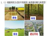 商务星球版八年级上册  3.1 合理利用土地资源  课件