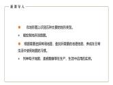 仁爱科普版地理七年级上册 第一章第三节 地图第三课时 课件