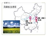 仁爱科普版地理七年级上册 第三章第三节 主要气候类型第三课时 课件