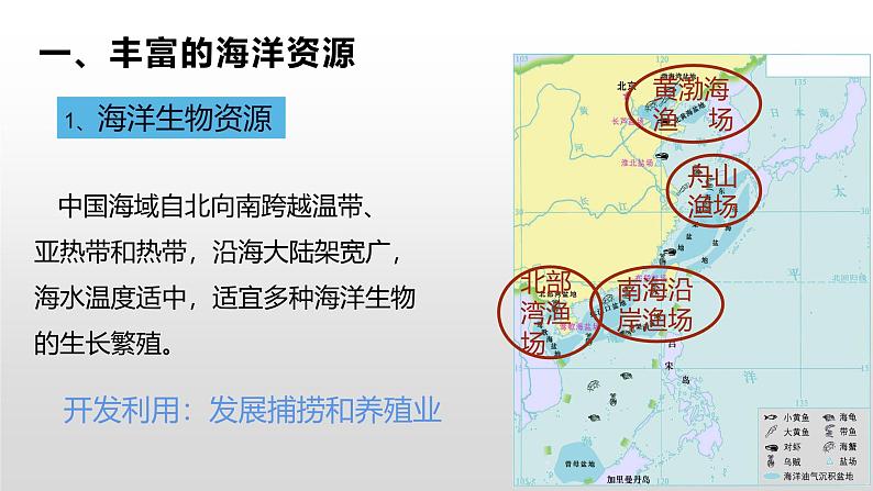 粤教版初中地理八上 第三章 第四节 海洋资源 课件+教学设计05