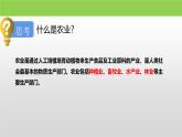 粤教版初中地理八上 第四章 第一节 农业课件 课件+教学设计