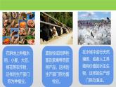 粤教版初中地理八上 第四章 第一节 农业课件 课件+教学设计