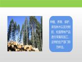 粤教版初中地理八上 第四章 第一节 农业课件 课件+教学设计
