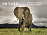 湘教版七年级地理上册同步备课 4.4世界主要气候类型（课件）