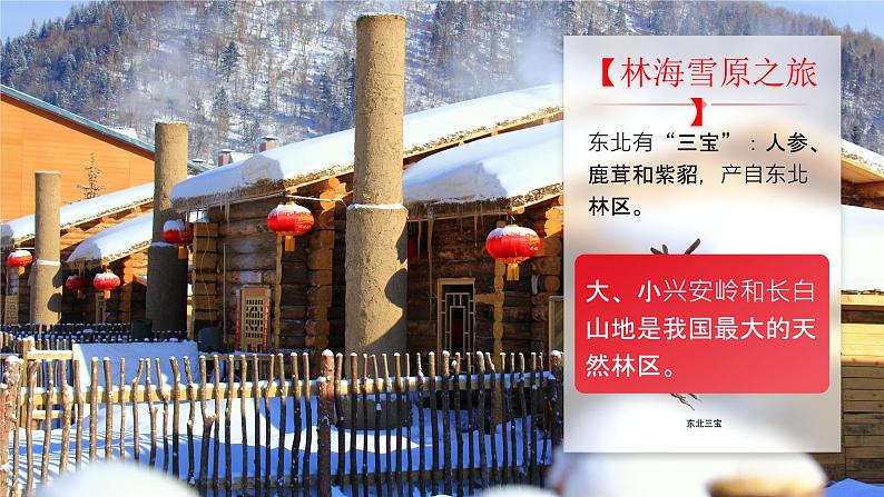 人教版（2024）地理八下：6.2《“白山黑水”——东北三省》课件+教案05