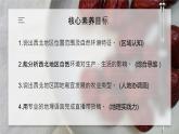 人教版（2024）地理八下：8.1《西北地区自然特征与农业》课件+教案