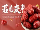 人教版（2024）地理八下：8.1《西北地区自然特征与农业》课件+教案