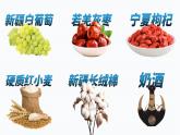 人教版（2024）地理八下：8.1《西北地区自然特征与农业》课件+教案