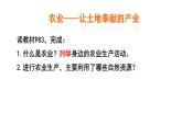 初中地理人教版八年级上册第二节 农业 课件