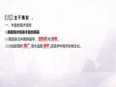 湘教版八年级地理上册第三章第四节中国的海洋资源课件