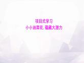 湘教版八年级地理上册项目式学习小小油菜花,蕴藏大潜力课件