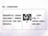 湘教版八年级地理上册项目式学习小小油菜花,蕴藏大潜力课件
