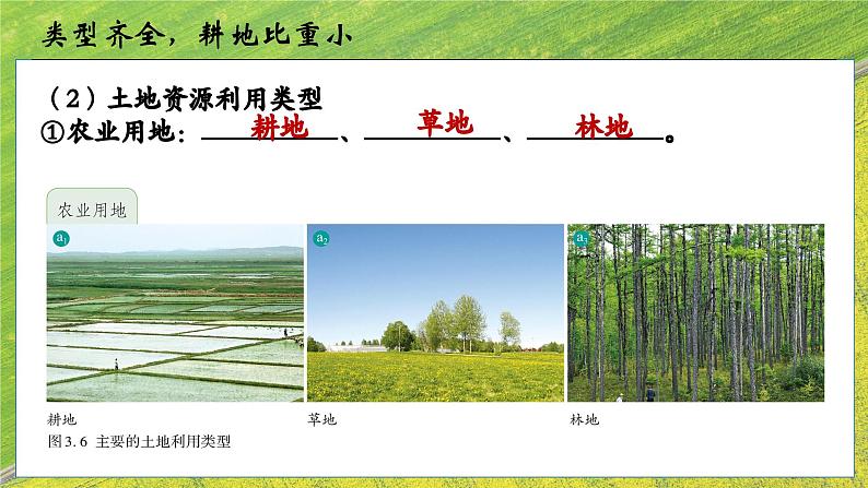 人教版八年级地理上册3.2《土地资源》（课件）第4页