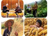 人教版八年级地理上册第二章第四节《自然灾害》课件