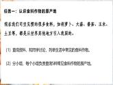 【人教新版】初中地理 第六章 跨学科主题学习 《探索外来食物传播史》教学课件