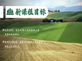 3.2.1 中国的土地资源（第1课时）课件---2024-2025学年初中地理人教版八年级上册
