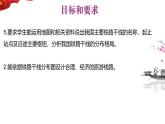 4.1.2交通运输 课件---2024-2025学年初中地理人教版八年级上册