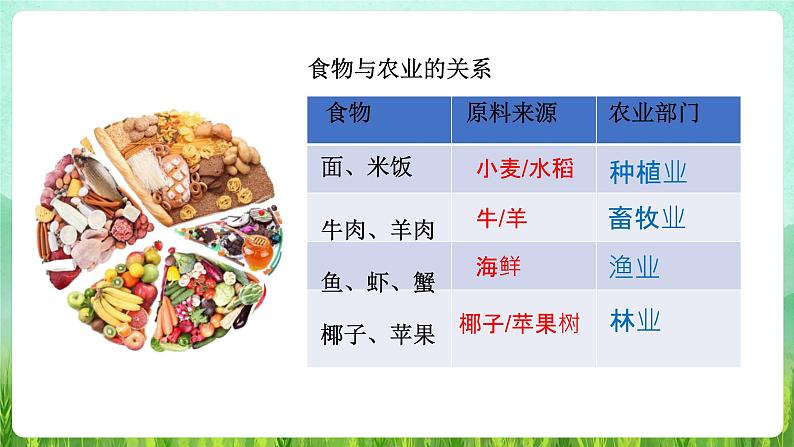 第四章第二节 农业课件---2024-2025学年初中地理人教版八年级上册第5页