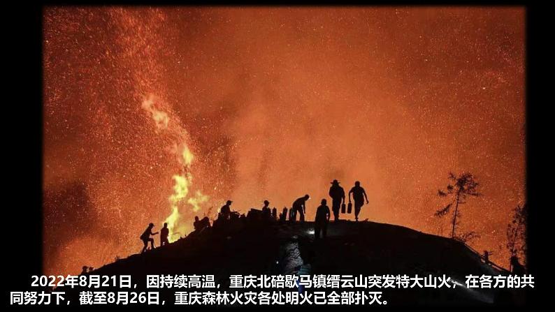 七年级地理上学期人教版(2024版）2.3《地图的选择和应用》课件第4页