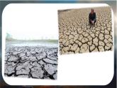 八年级地理上册【人教版】 2.第二章 中国的自然环境 第四节 自然灾害PPT课件