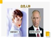 5.2   星球版地理七年级上册 世界的人种语言和宗教  课件（含教案、作业设计、上课视频）