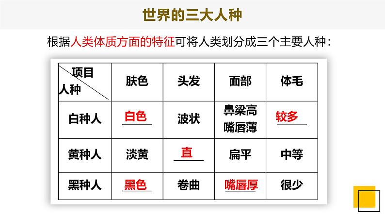 5.2 世界的人种语言和宗教（精品课件）第7页