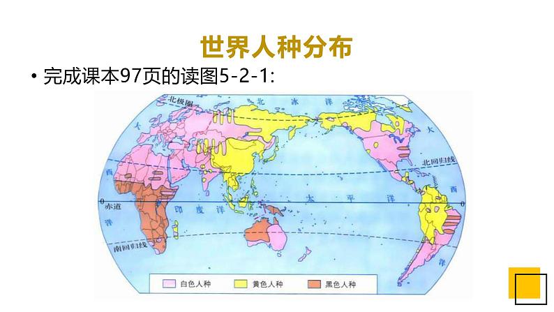 5.2 世界的人种语言和宗教（精品课件）第8页