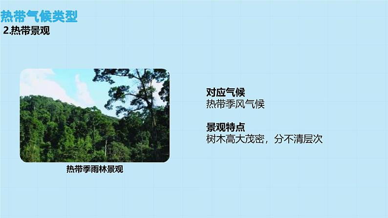 5.4 世界主要气候类型  课件----2024-2025学年湘教版（2024）地理七年级上册第7页