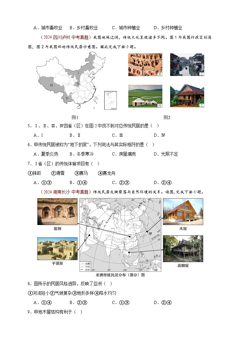 【真题汇编】2024年中考地理真题分类汇编 05 居民与聚落、发展与合作（原卷版）第2页