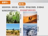 24秋新人教版地理七年级上册第四章 第四节  第一课时 气候的地区差异 世界气候类型的分布  公开课案例课件