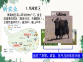 湘教版地理八年级下册 5.3 青藏地区的人文地理课件