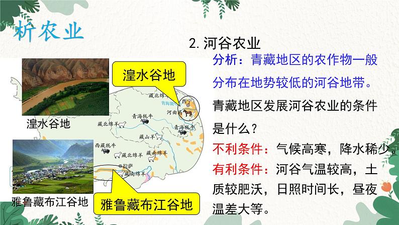 湘教版地理八年级下册 5.3 青藏地区的人文地理课件第3页