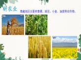 湘教版地理八年级下册 5.3 青藏地区的人文地理课件