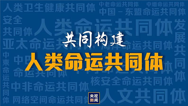 6.2国际合作（课件）-2024湘教版地理七年级上册pptx第5页