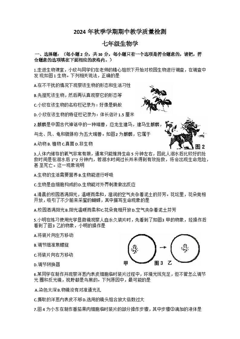 广西贺州市昭平县2024-2025学年七年级上学期11月期中地理.生物试题01