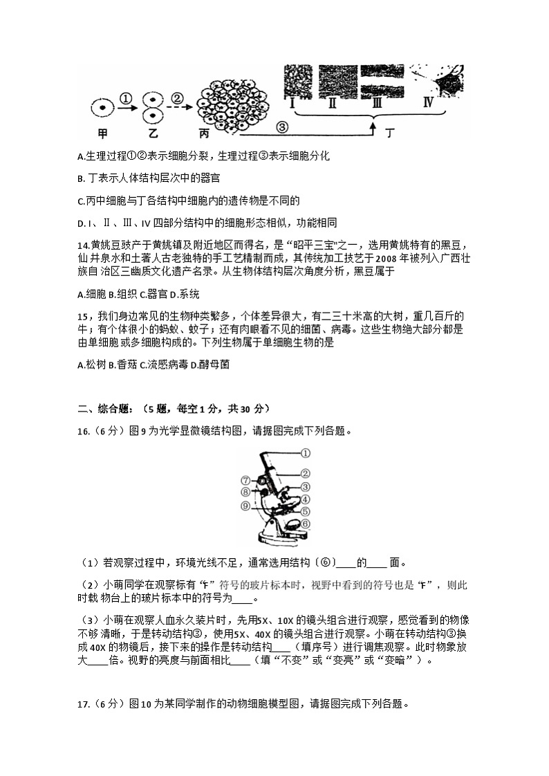 广西贺州市昭平县2024-2025学年七年级上学期11月期中地理.生物试题03