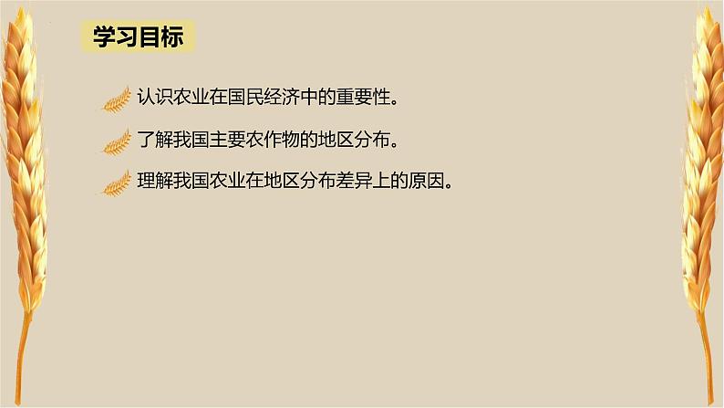 人教版地理八年级上册4.2《农业》教学课件第3页