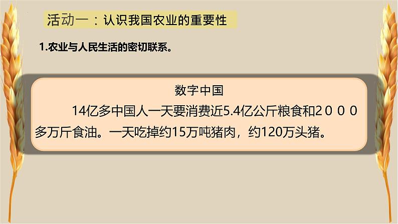 人教版地理八年级上册4.2《农业》教学课件第5页