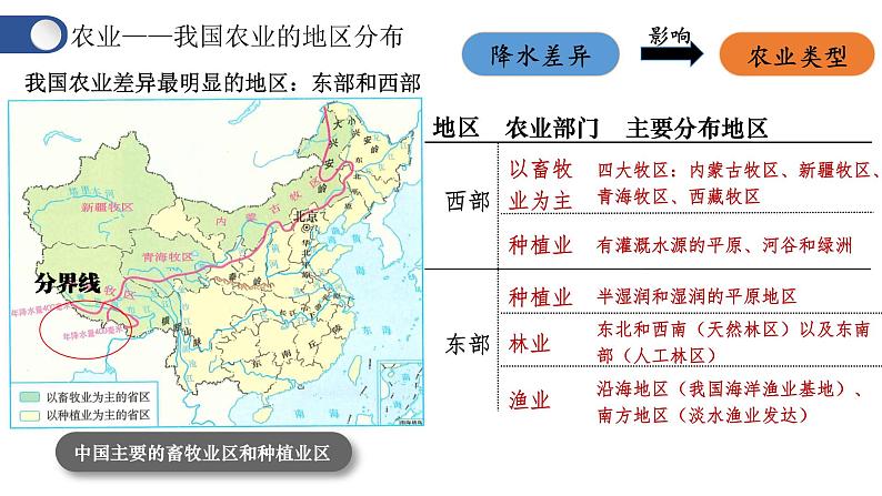 人教版地理八年级上册第4章第2节《农业》课件第8页