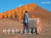 人教版地理七年级上册4.2《气温的变化》（第一课时）课件
