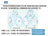 3.1 世界的海陆分布（第1课时）-初中地理新教材七年级上册 同步教学课件（湘教版2024）