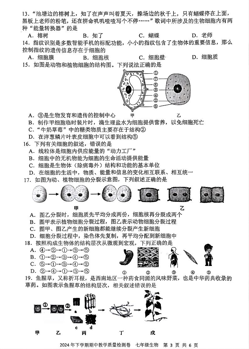 湖南省娄底市2024—2025学年上学期期中考试七年级地理、生物试题第3页
