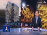 2024七年级上册地理4.2 气温的变化与分布 PPT