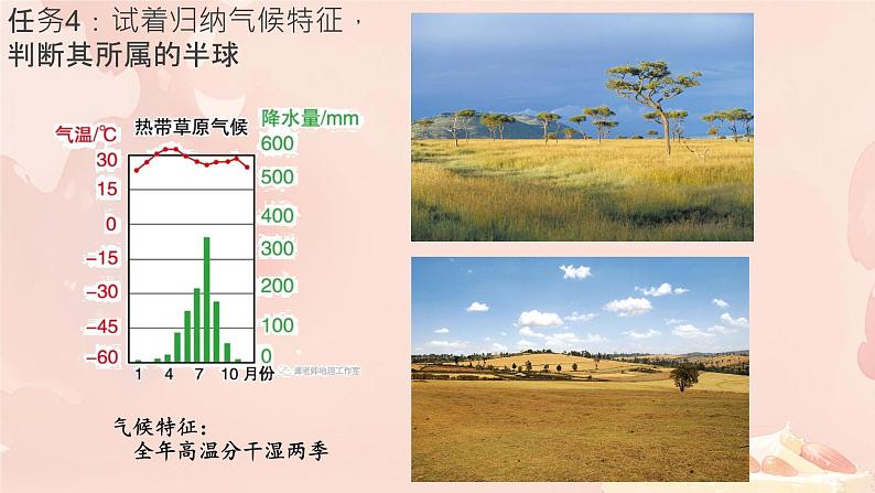 初中  地理  人教版（2024）  七年级上册(2024)  第四章第四节 世界的气候 课件第8页