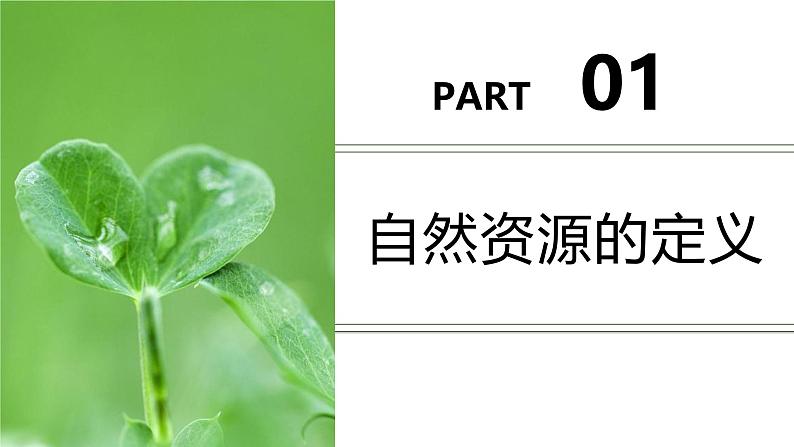 3.1自然资源的基本特征课件-----2024-2025学年地理人教版八年级上册第3页