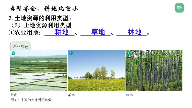 3.2土地资源 课件-----2024-2025学年地理人教版八年级上册第6页