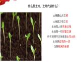 3.2.1土地资源课件-----2024-2025学年地理人教版八年级上册