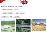 3.2.1土地资源课件-----2024-2025学年地理人教版八年级上册